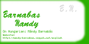 barnabas mandy business card