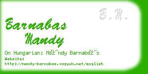 barnabas mandy business card